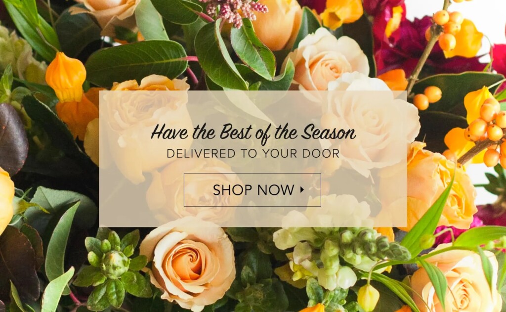 Mississauga Flower Delivery Mississauga Florist Funeral Flowers